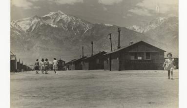 All Camps Summit